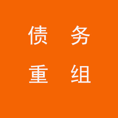 纳雍个人债务重组优化